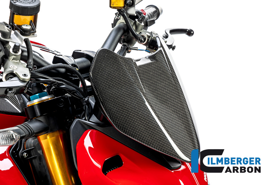 Armaturenabdeckung (Windschild) glanz V4 Streetfighter