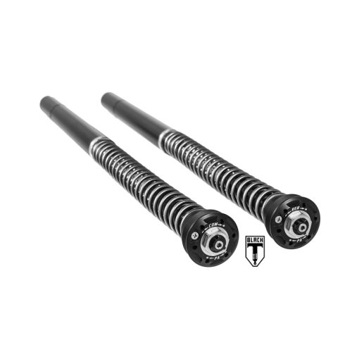 BLACK-T Cartridge Kit Stage4 für Triumph Thruxton-R (2016-2018)
