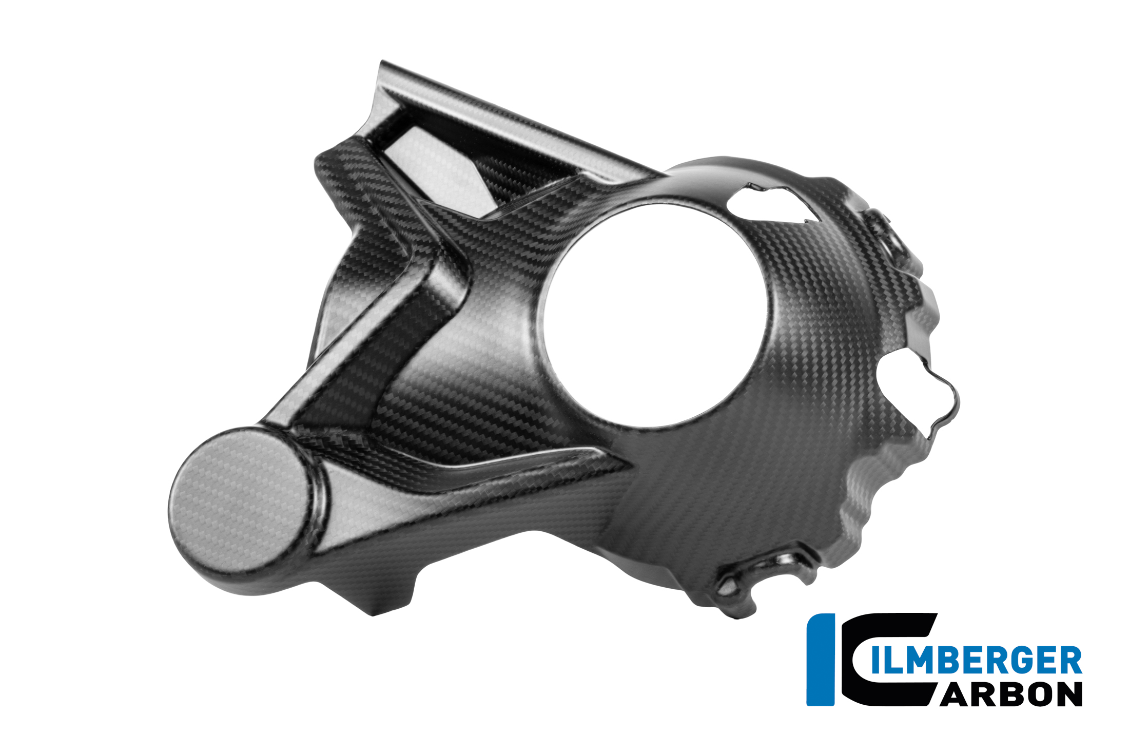 Kardangehäuseabdeckung Carbon BMW R 1300 GS ab 2023