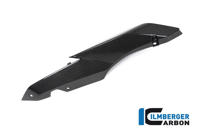 k-BMW_R1250R_Ilmberger_Carbon_SIR_010_R125R_K_4