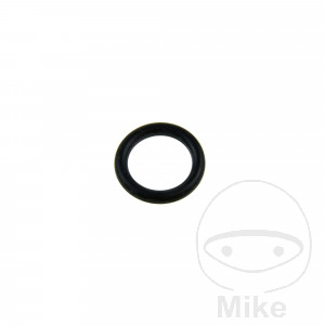 O-Ring 4X19MM Alternative: 7351089