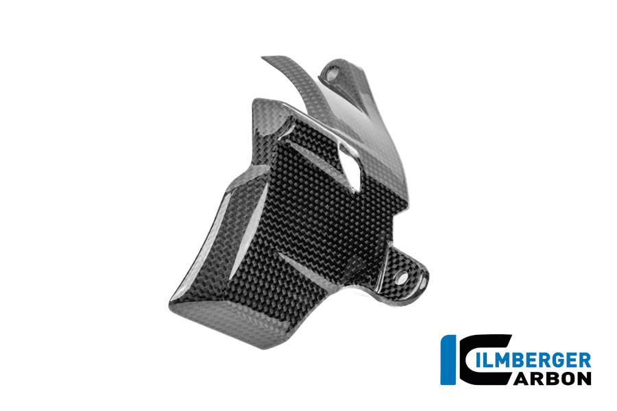 Motordeckel rechts Carbon glanz Panigale V4 2025