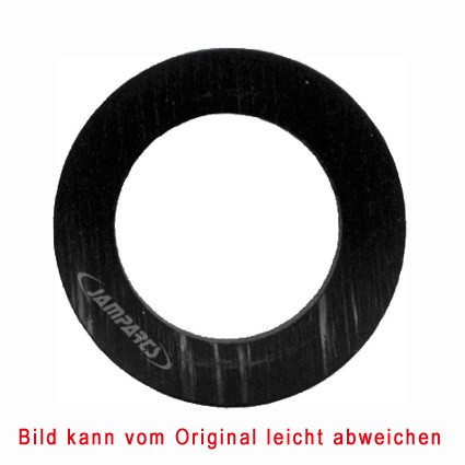 Akrapovic Alu Scheibe