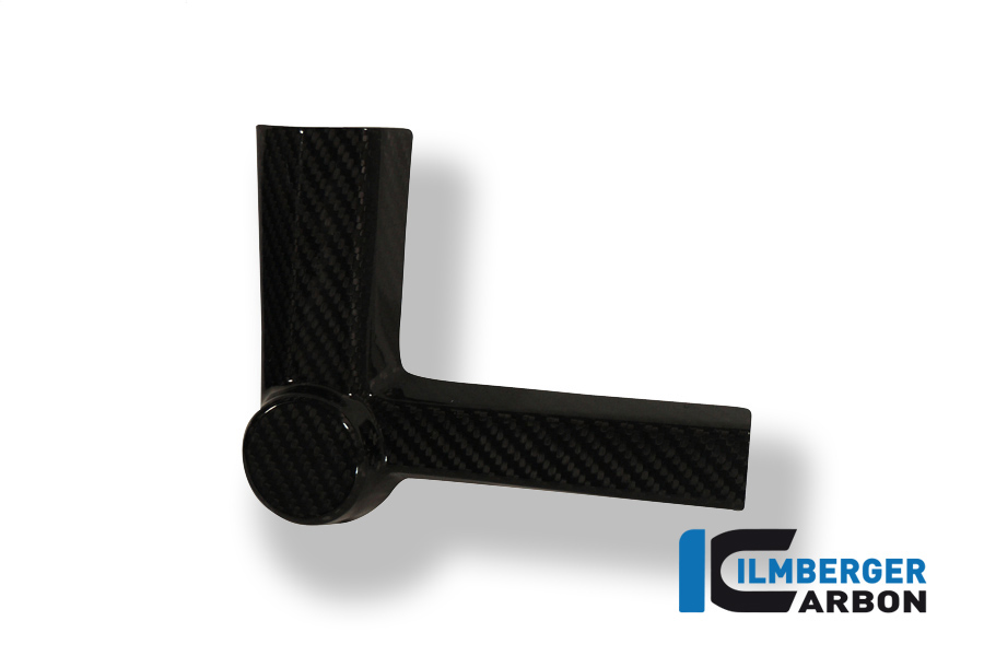 bmw_s1000rr12_carbon_spl3