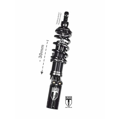 BLACK-T Tieferlegung (-30mm) Stage3 mit Reservoir für Indian FTR 1200 / FTR 1200 S (2019-2021)