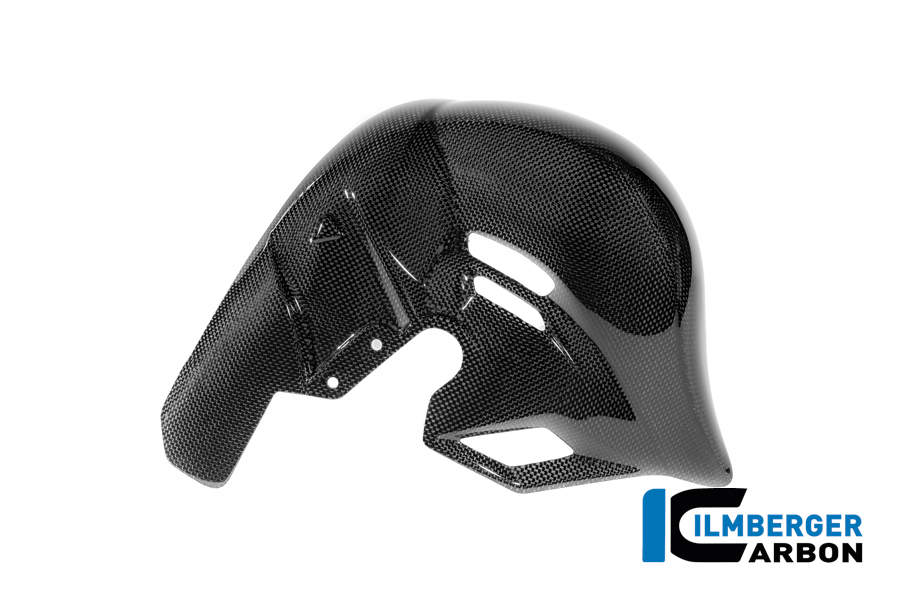 Auspuffhitzeschutz Carbon glanz Panigale V4 2025