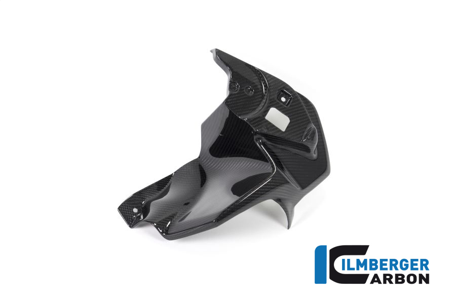BMW_r1250gs_ilmberger_carbon_LAL_021_GS19T_K_1