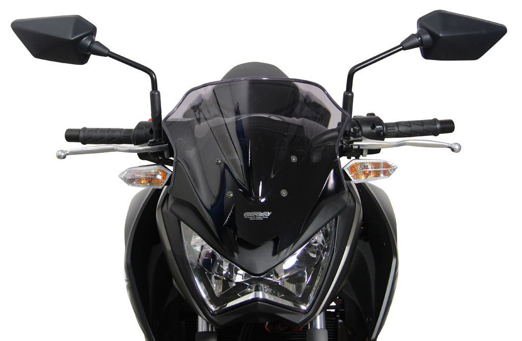 Z250 13- / Z300 15- - Racingscheibe "R" 2013- - rauchgrau