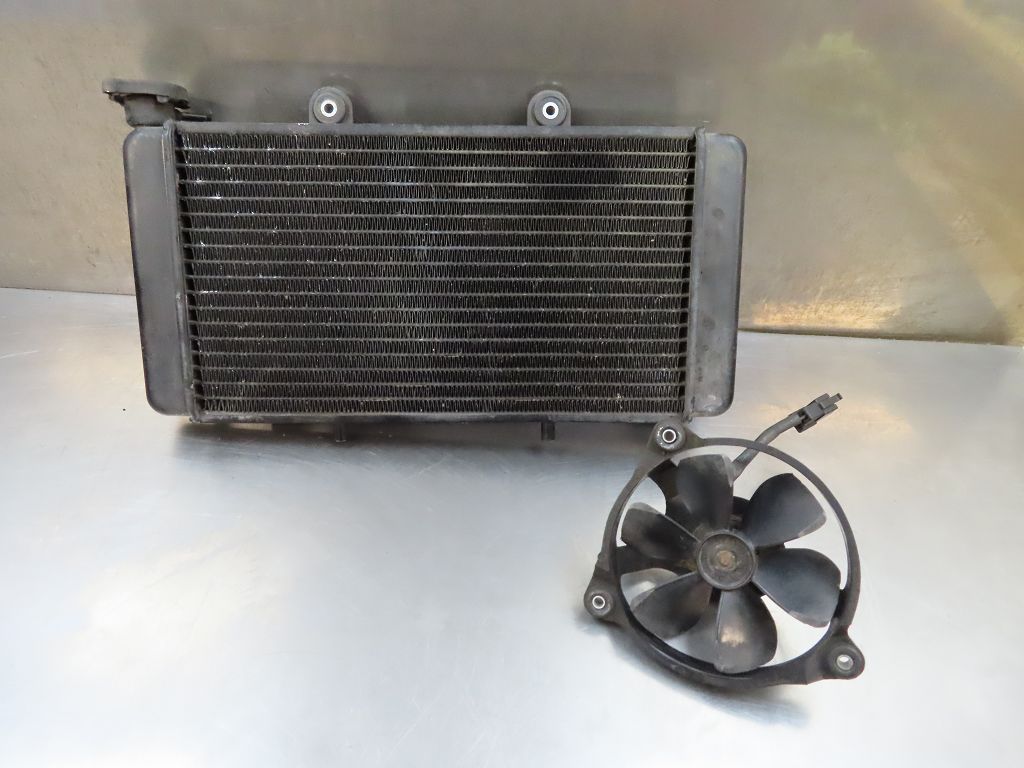 Kühler mit Lüfter Lüftermotor 17112345046 für BMW F650 F650ST