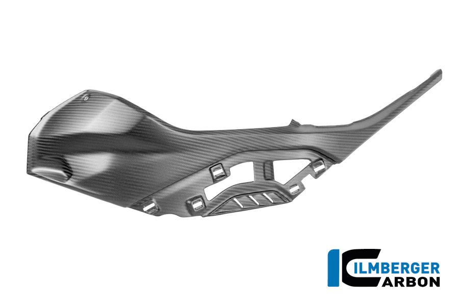 Seitendeckel links am Tank für original Seitendeckeleinsatz BMW S 1000 RR ab Bj 2019