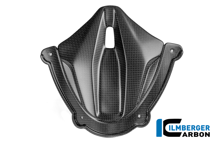 Instrumentenabdeckung Carbon matt Panigale V4 2025