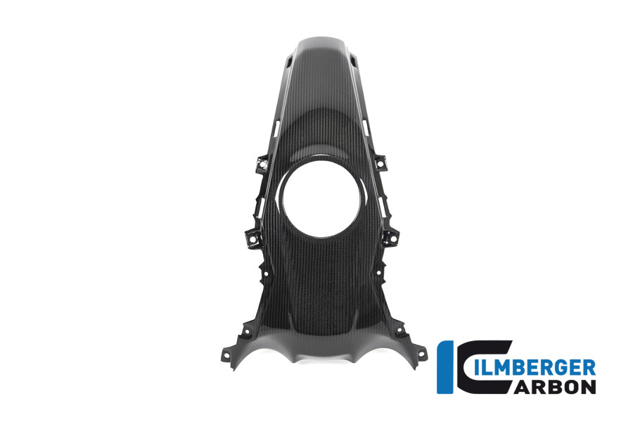 BMW_R1250R_Ilmberger_Carbon_TAO_008_R125R_K_3