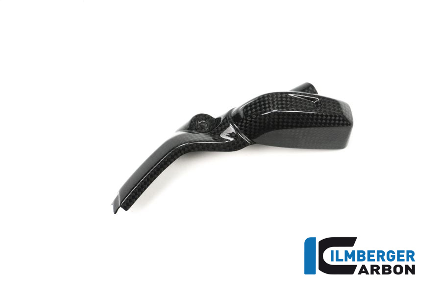 bmw_r1200_lc_carbon_edali_1_1 Einspritzdüsen Abdeckung links BMW LC Boxer