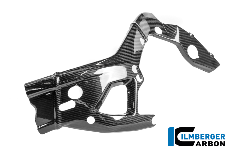 Rahmenschützer links Carbon glanz M 1000 RR Racing (ab 2025)