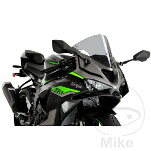 Scheibe R-Racing Puig rauchgrau
