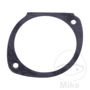 Dichtung Zündkontakt