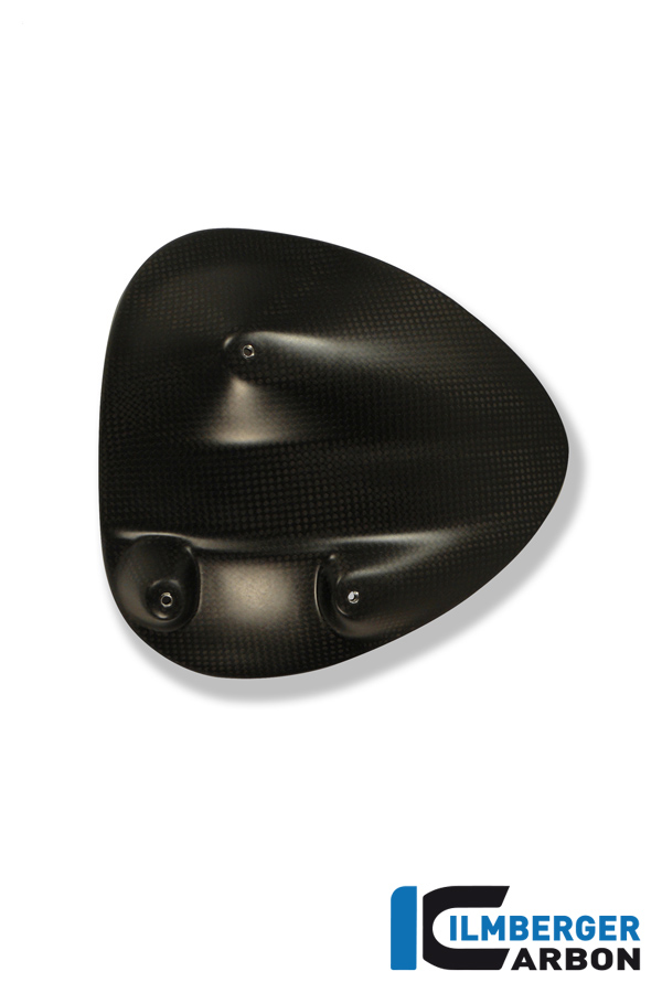 Spritzschutz hinten Carbon
