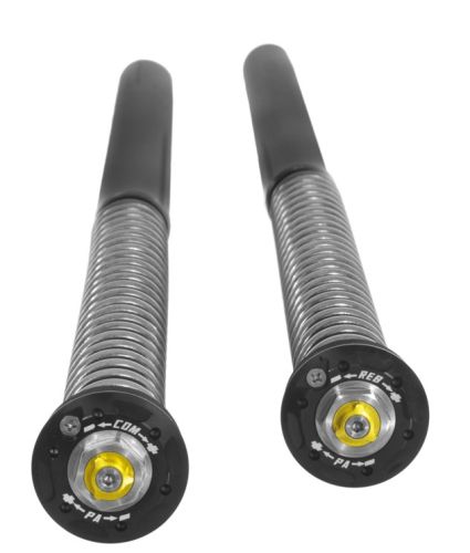 Touratech Suspension Cartridge Kit Extreme für BMW F900GS Adventure