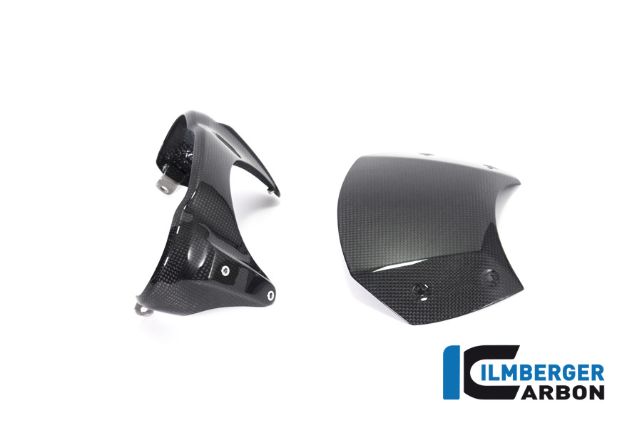 Windschild Carbon - BMW R NineT
