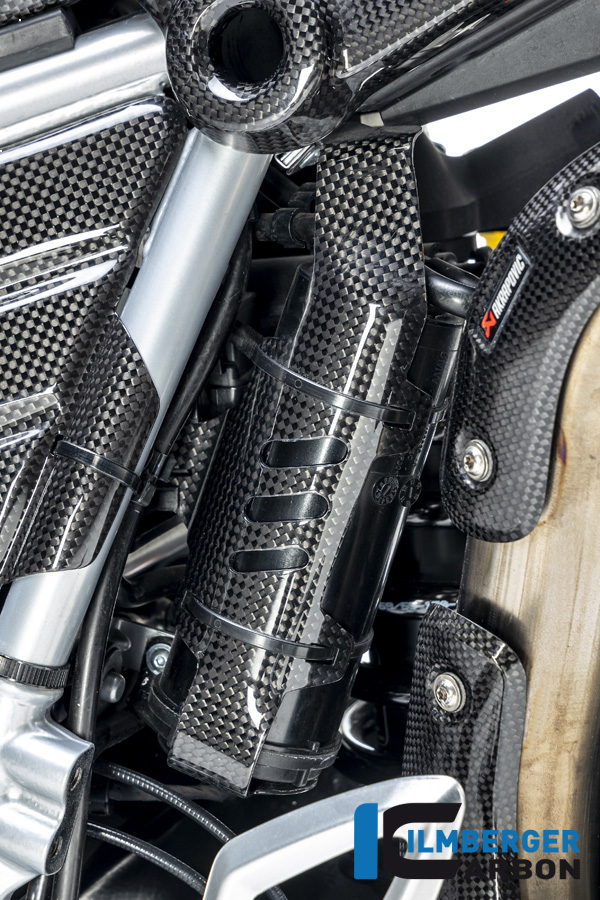 BMW_R9T_Ilmberger_Carbon_Race_45_1