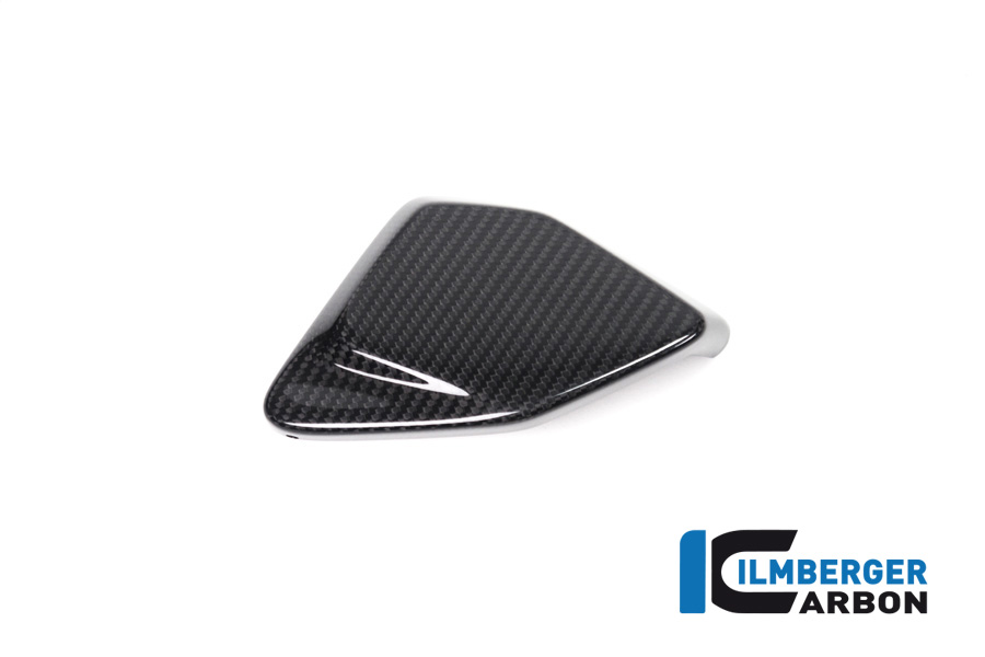 BMW_r1250gs_ilmberger_carbon_ESA_034_GS19T_K_1 Abdeckung ESA Box BMW R 1250 GS