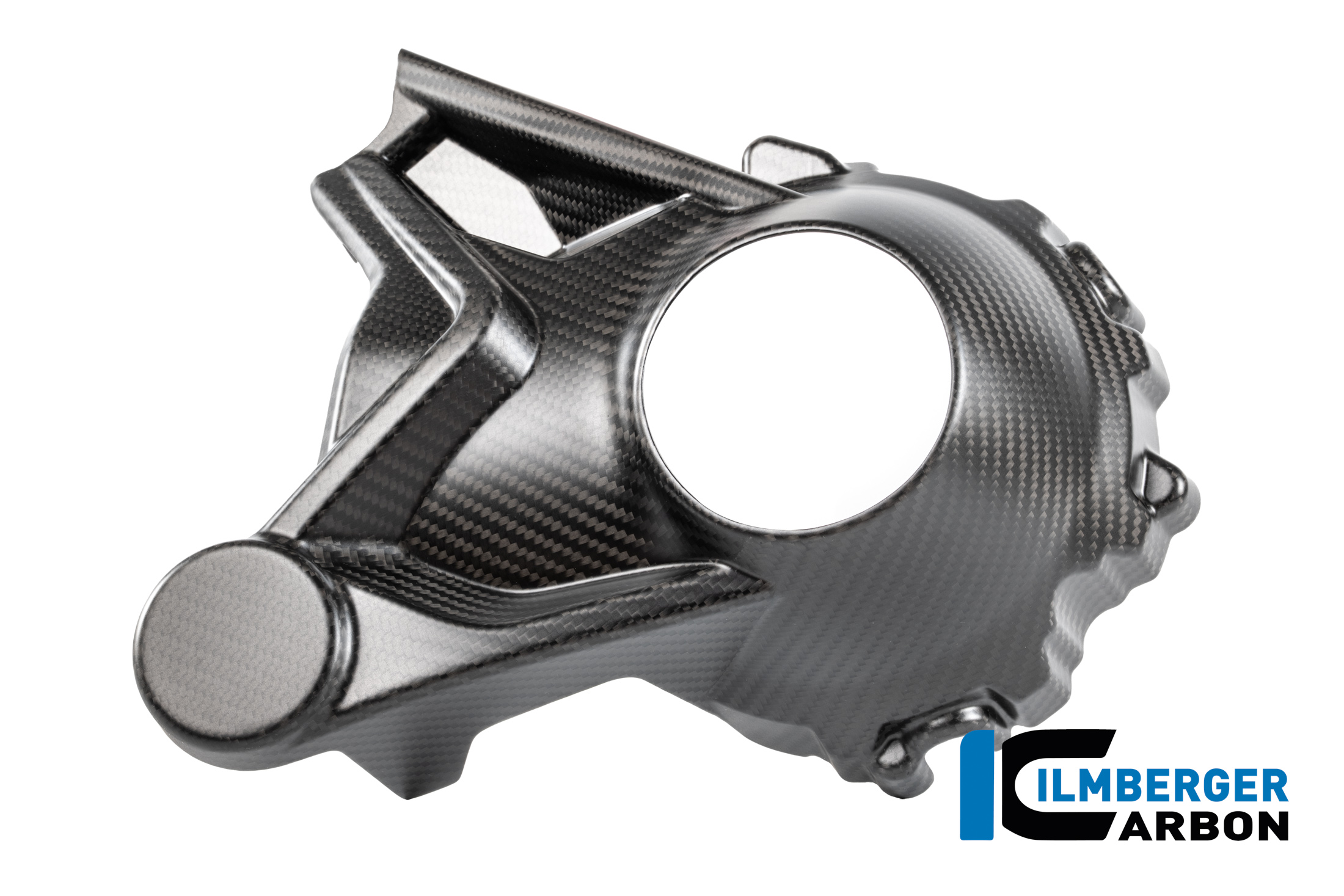 Kardangehäuseabdeckung  Carbon matt BMW R 1300 R