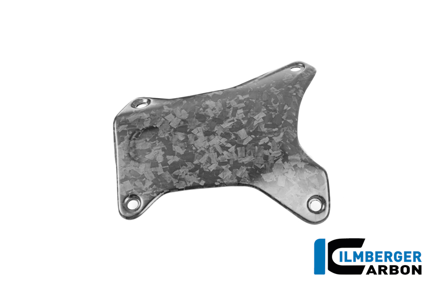 Sturzbügelabdeckung links Carbon BDC matt R 1300 GS Adventure