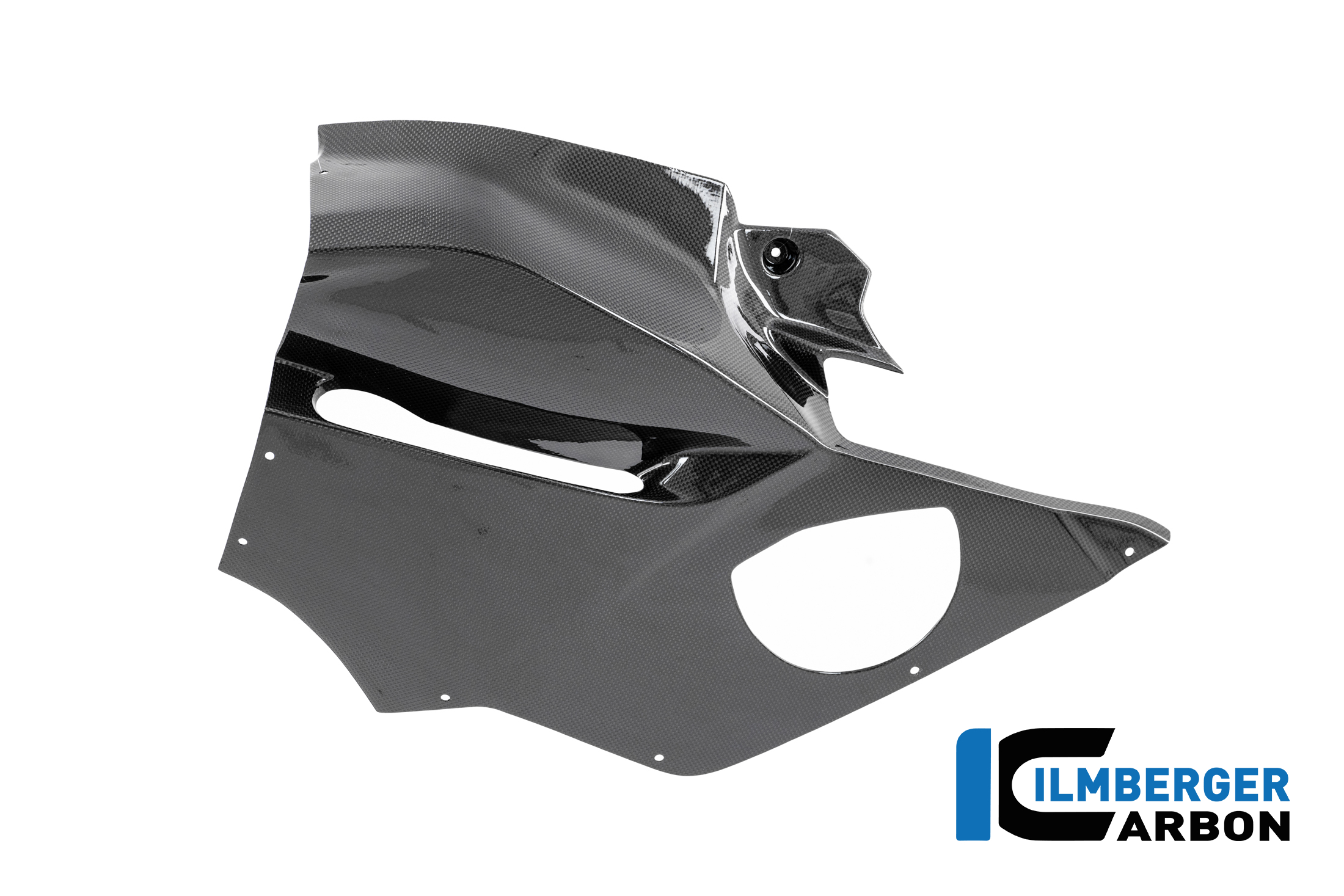 linkes Verkleidungsseitenteil Racing Ducati Panigale V4  R Racing 2025