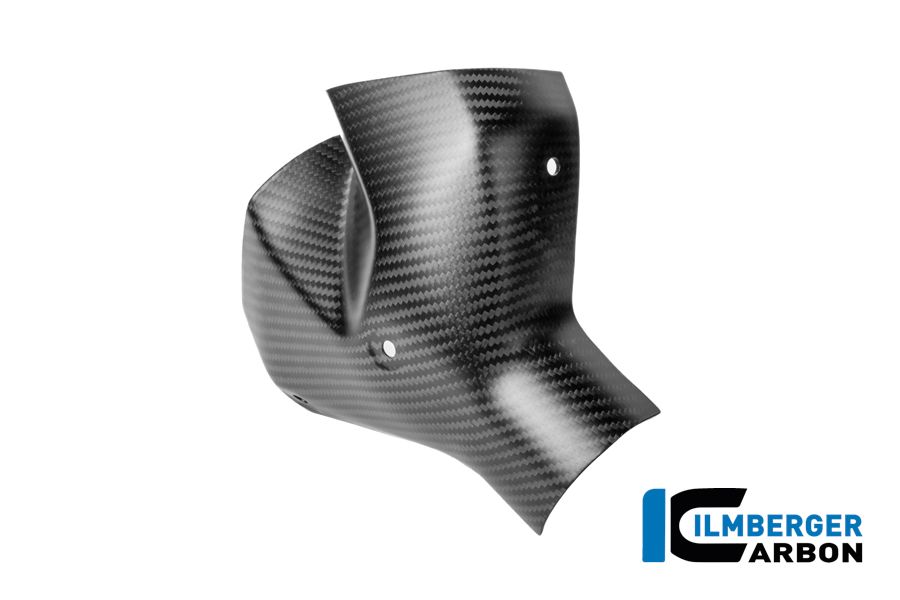 Auspuffhitzeschutz vorne Carbon matt BMW R 1300 R