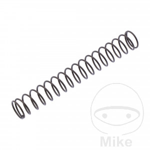 Feder Steuerkettenspanner