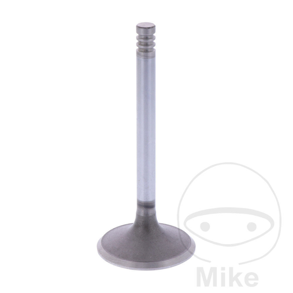 Einlassventil Siebenrock