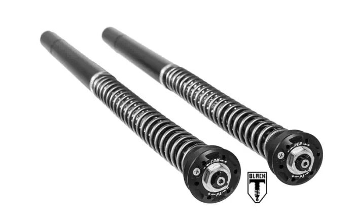 BLACK-T Cartridge Kit Stage4 für Triumph Thruxton-R (2016-2018)