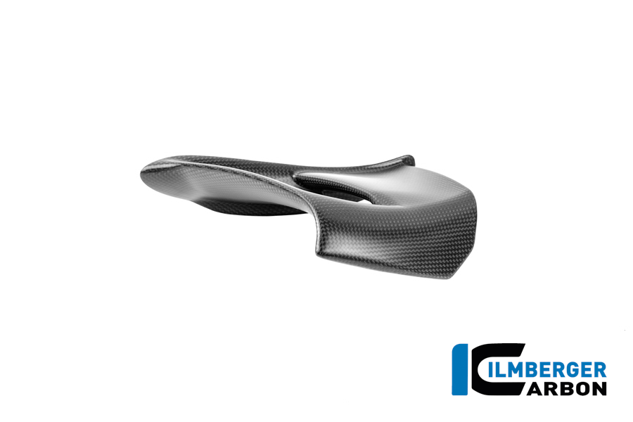 Winglet links Carbon matt Panigale V4 2025