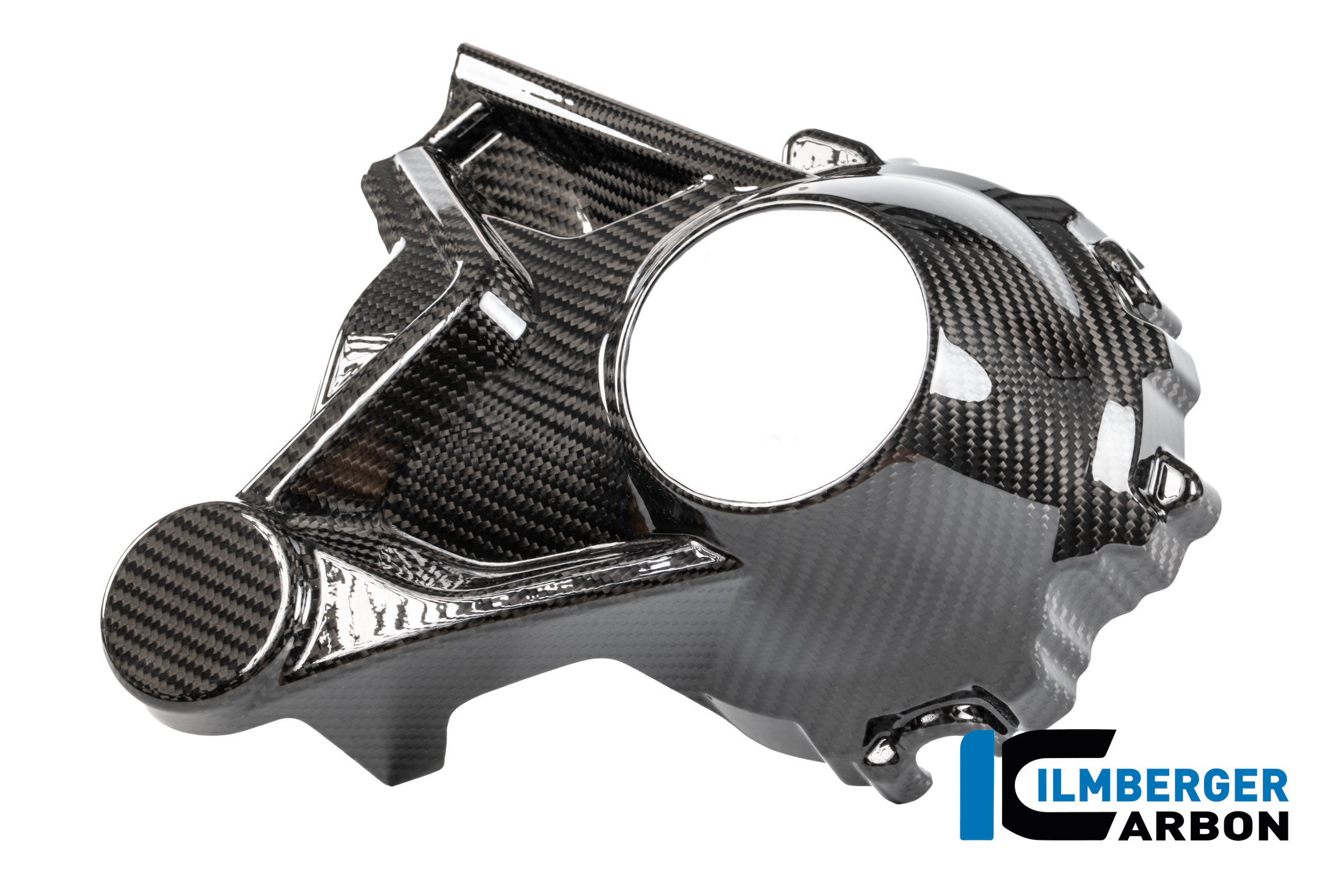 Kardangehäuseabdeckung  Carbon glänzend BMW R 1300 R