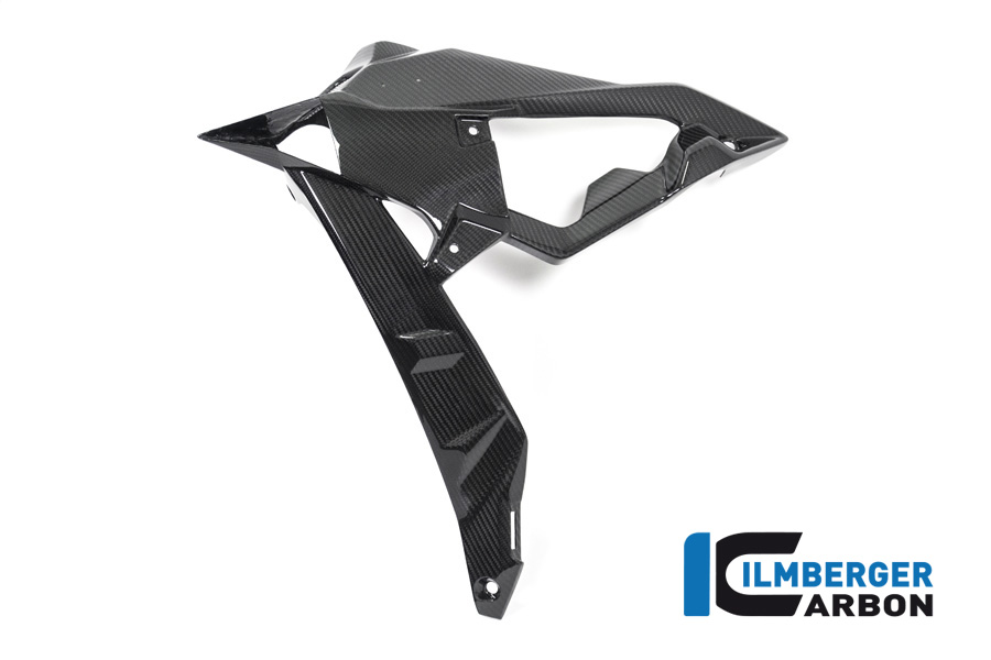 Wasserkühlerverkleidung / Plakettenträger links BMW S1000R '17