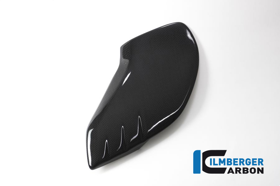 bmw_rninet_carbon_tal_2_1