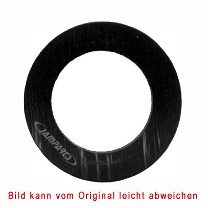 Akrapovic Alu Scheibe