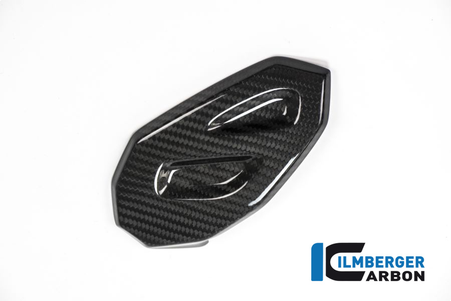 bmw_s1000xr_carbon_fsl_2_1 Fersenschutz links BMW S 1000 XR Bj 2015-2019