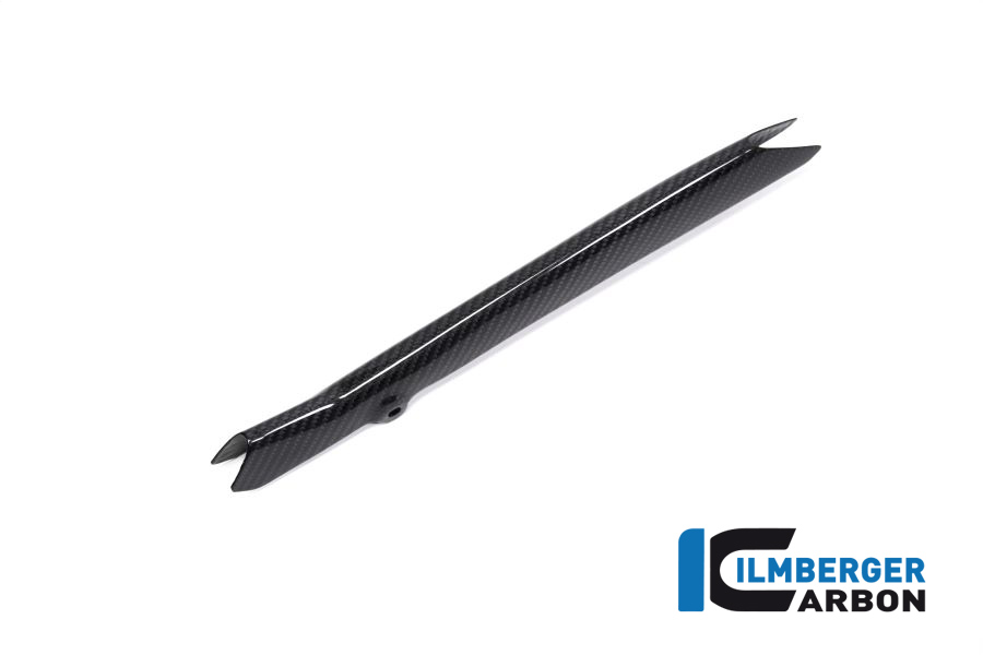 BMW_r1250gs_ilmberger_carbon_BLA_031_GS19T_K_3