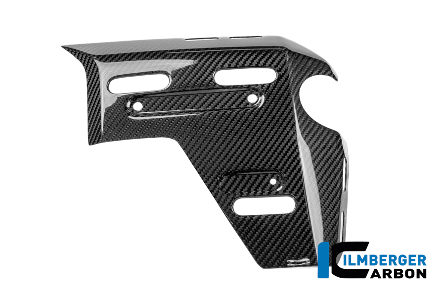Wasserkühlerabdeckung rechts mit Löchern für den Kofferhalter Carbon glänzend R 1300 GS Adventure