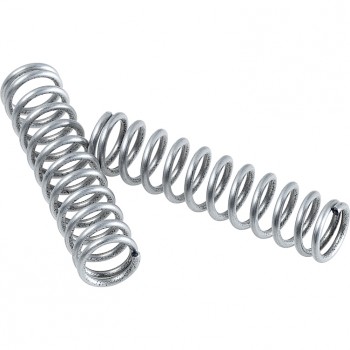 Riegelfeder, 2 Stück für V37 für E28/E34/E35/E36/E38/E45/E460/V46/E50/E52/V35