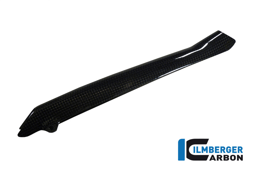 bmw-r1200gslc13-carbon-bremsleitungsabdeckung-2_1