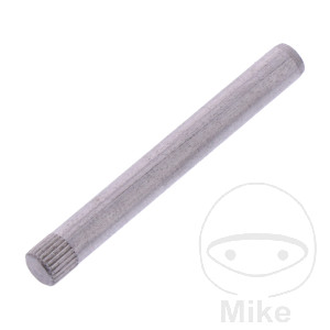 Pin