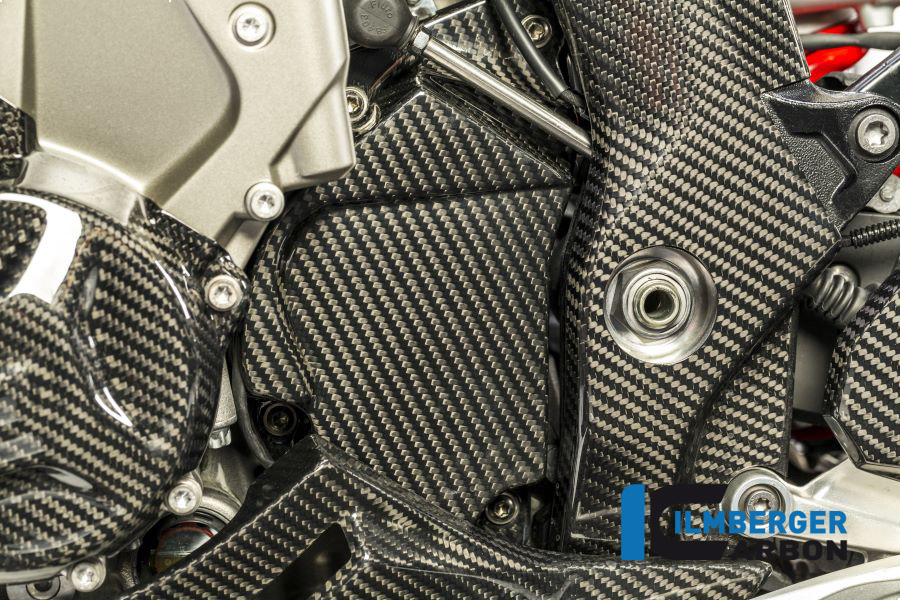 Ritzeladeckung BMW S1000XR Bj 2015-2019