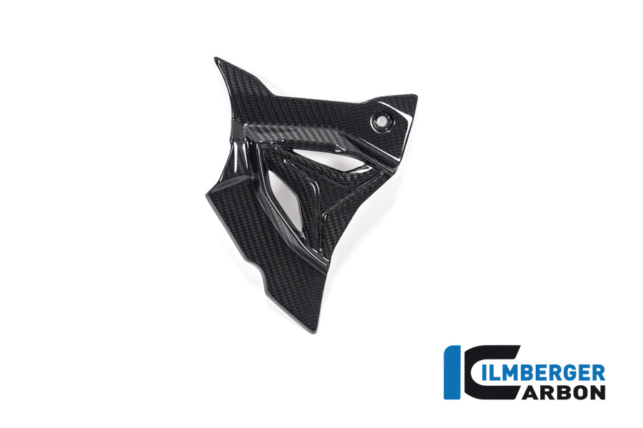 Ritzelabdeckung BMW S 1000 RR ab Bj 2019