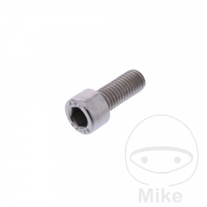 Schraube Bremssattel M10 x 1.5X25MM