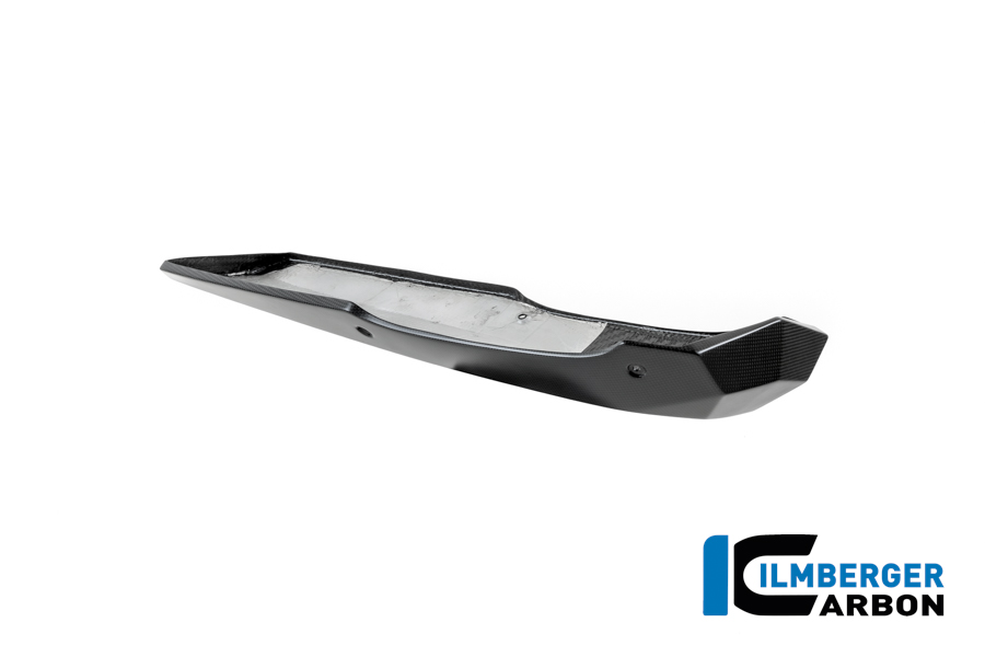 Motorspoiler Carbon matt BMW R12 NineT 2024