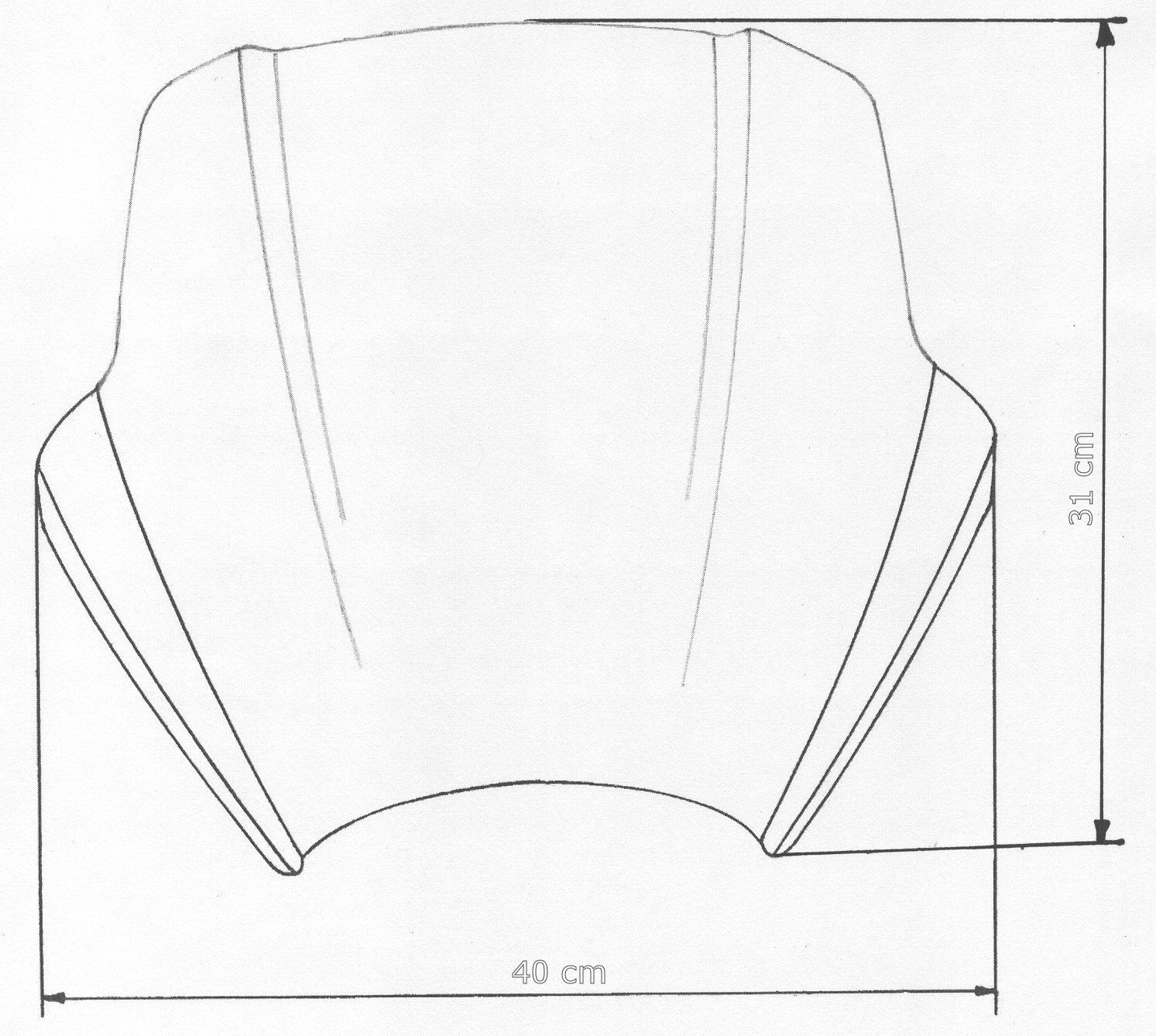 SPEED-SCREEN "A" BMW F800R - Speed-Screen "A" for Naked-Bikes alle Baujahre - schwarz