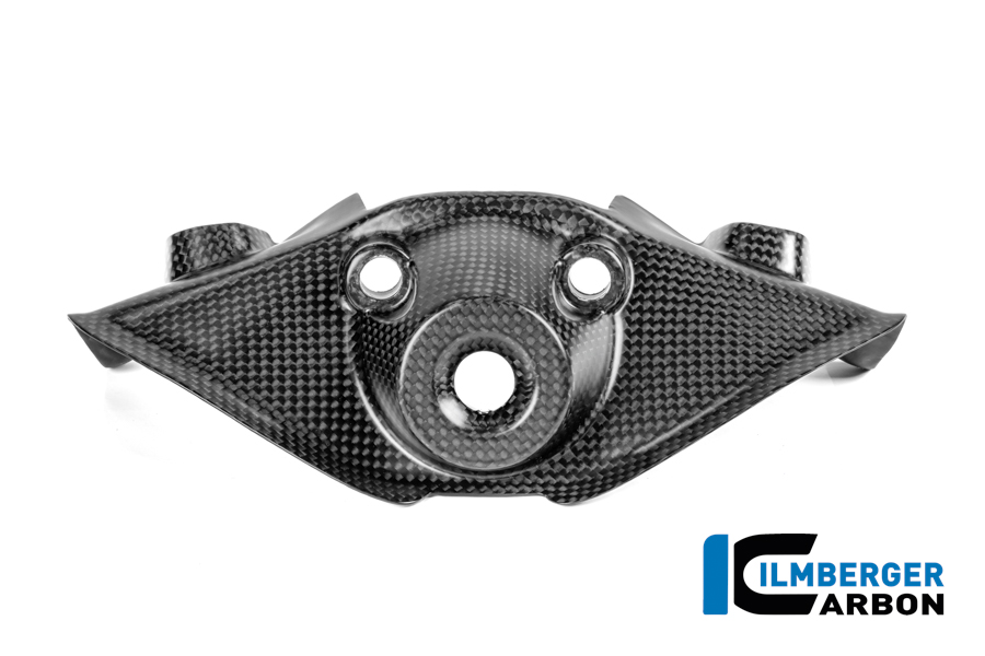 Zündschlossabdeckung Carbon matt Panigale V4 2025