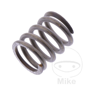 Feder Gemischeinstellschraube